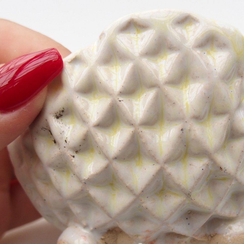 Kerámia kagyló 8 x 8 x 5 cm , zöld színű