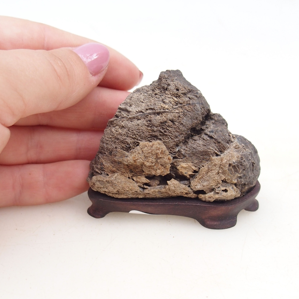 Suiseki - Kő DAI-val (fa alapon)