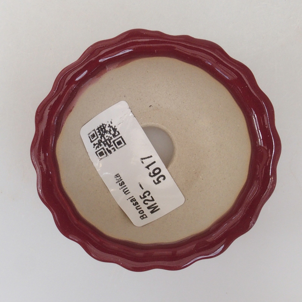 Mini bonsai tál 6,5 x 6,5 x 3,5 cm, bordó színű