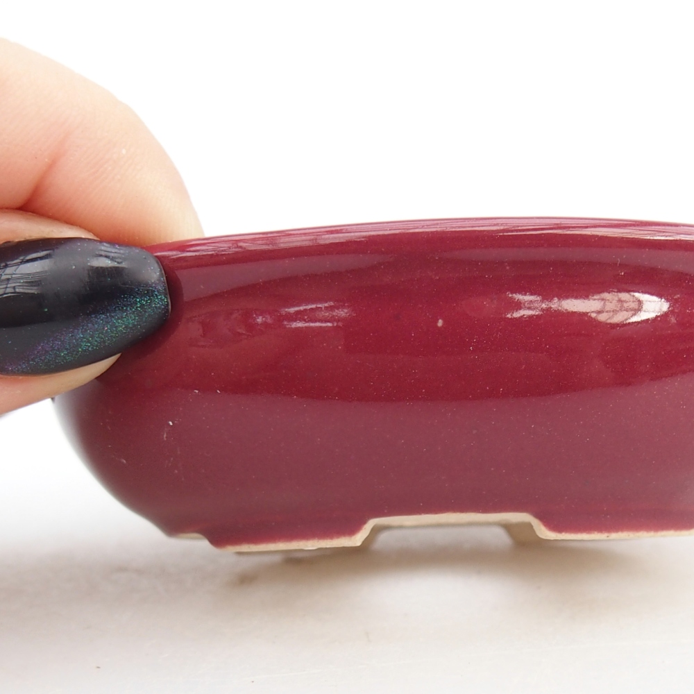 Mini bonsai tál 8 x 6 x 2,5 cm, bordó színű