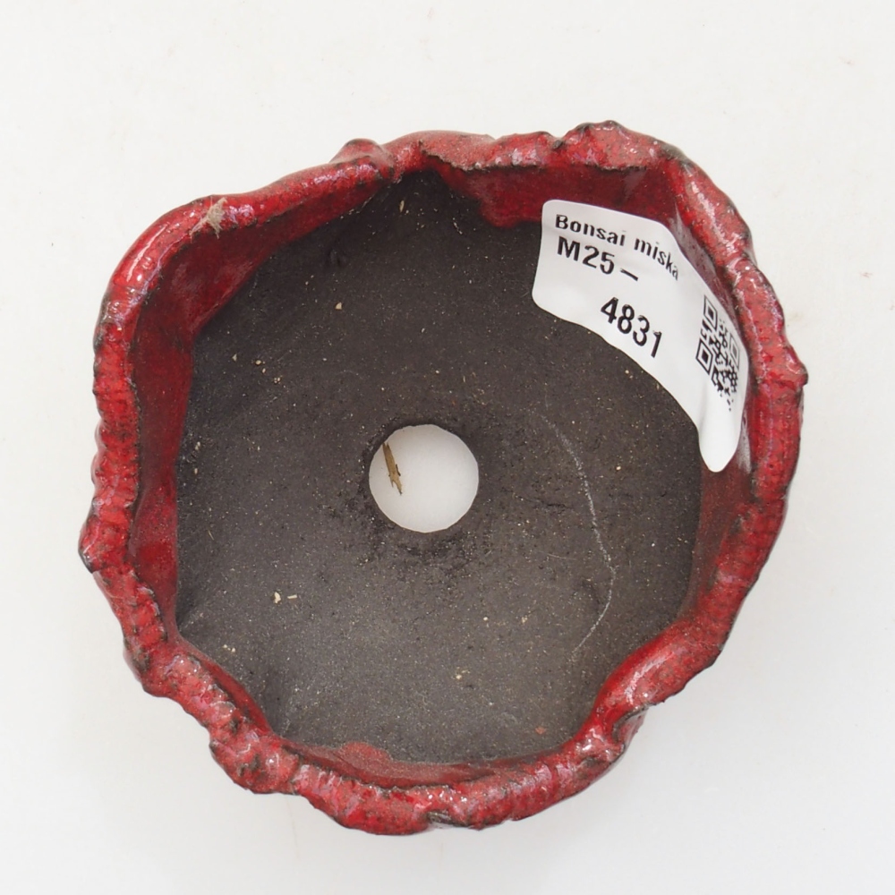 Kerámia kagyló 8 x 7,5 x 5 cm , piros színű