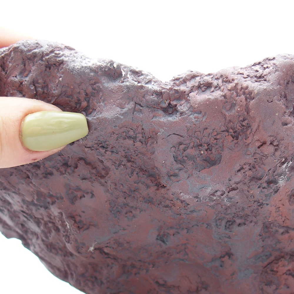 Kerámia kagyló 23 x 25 x 21 cm , barna színű