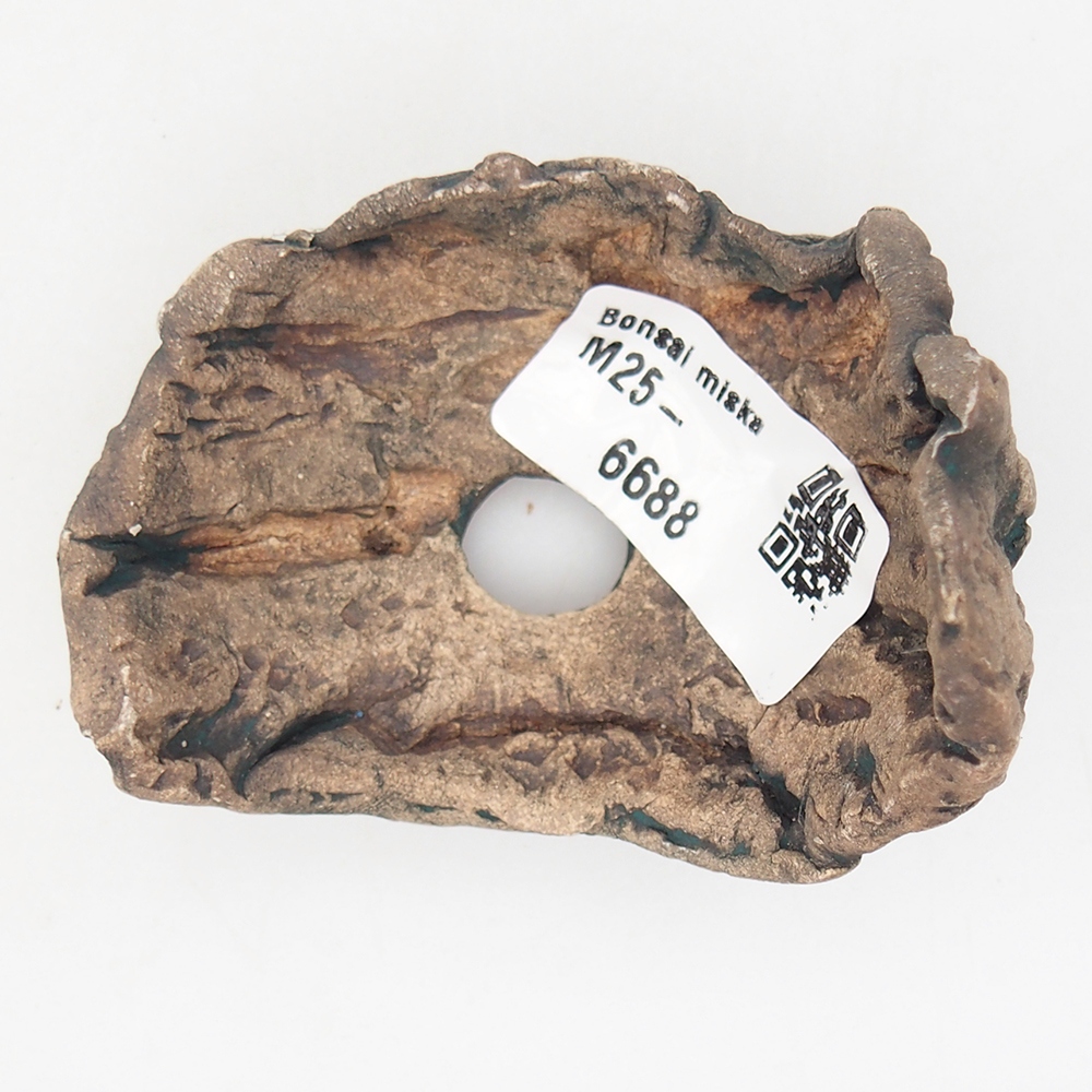 Kerámia kagyló 6,5 x 5,5 x 6 cm , zöld színű