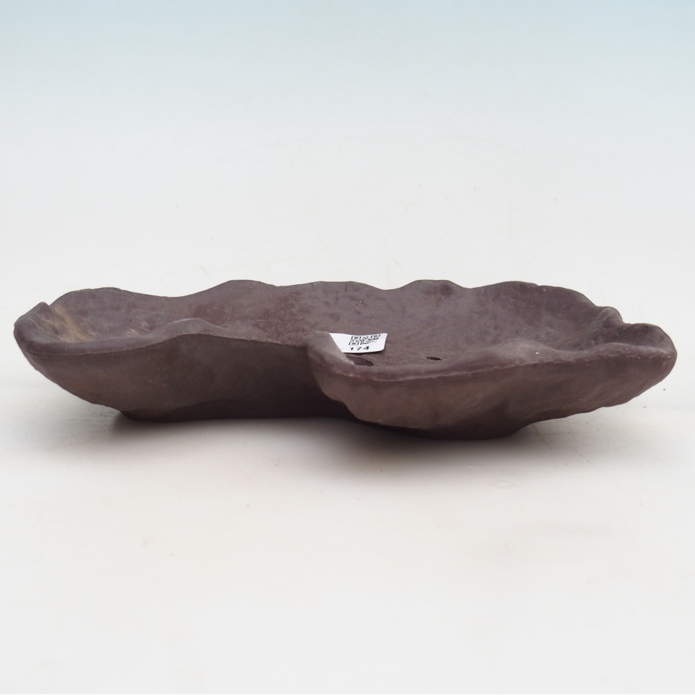 Kerámia kagyló 19 x 13,5 x 3,5 cm , színe barna