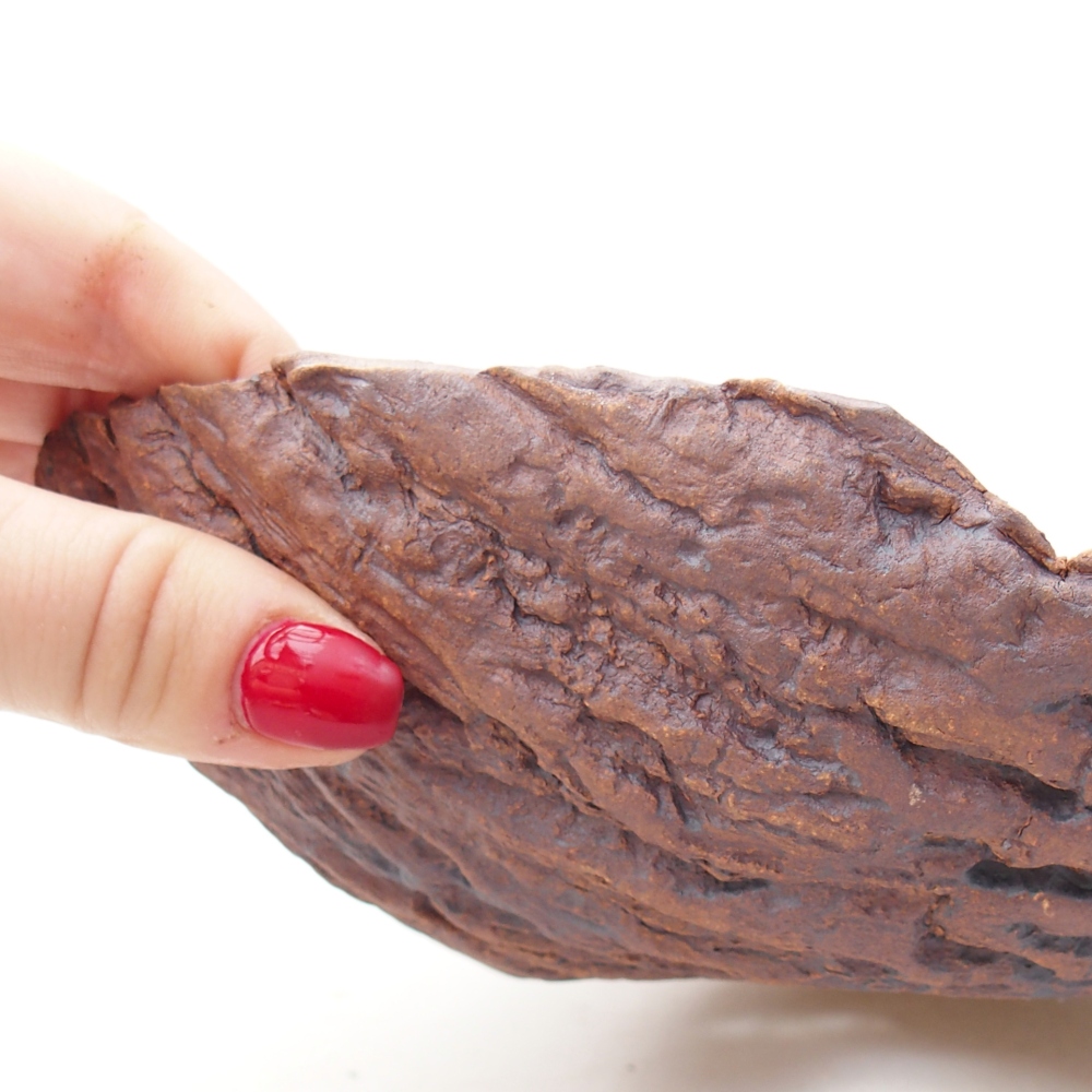 Kerámia kagyló 20 x 16 x 6 cm , barna színű