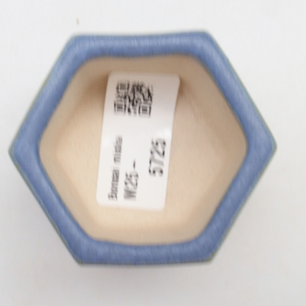 Mini bonsai tál 6 x 5,5 x 4 cm, kék színben