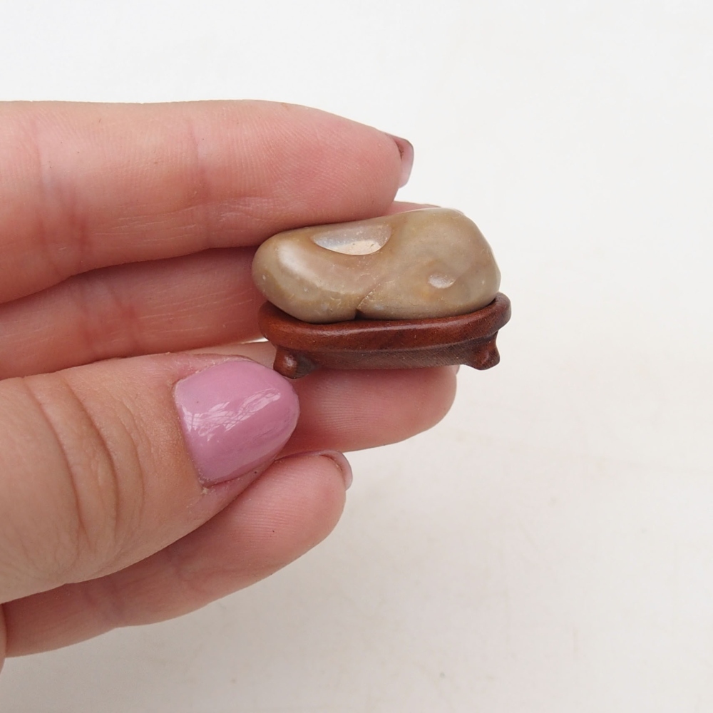 Suiseki - Kő DAI-val (fa alapon)