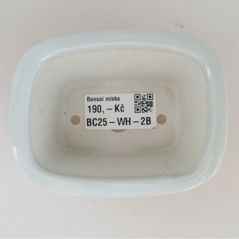 Mini bonsai tál 10 x 7,5 x 4 cm, fehér színben
