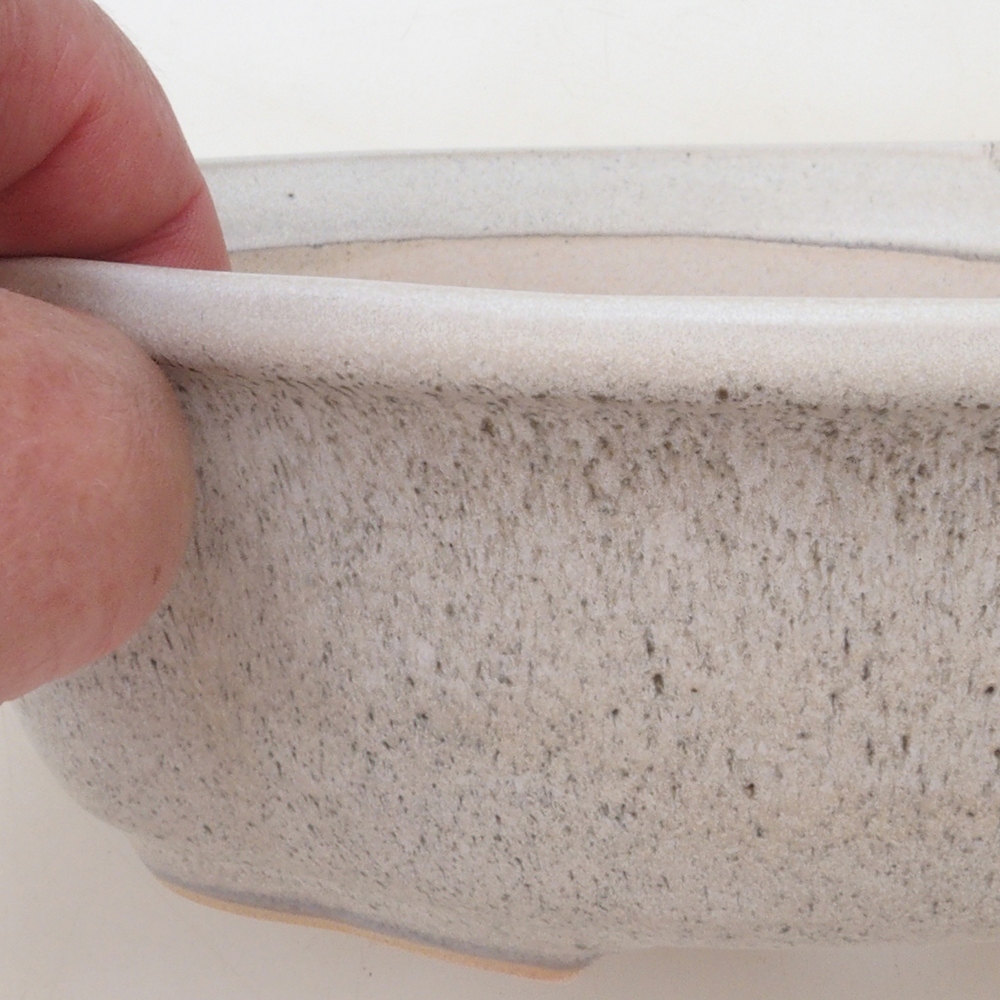 Bonsai tál H75 - 19 x 14 x 6,5 cm. - bézs színű