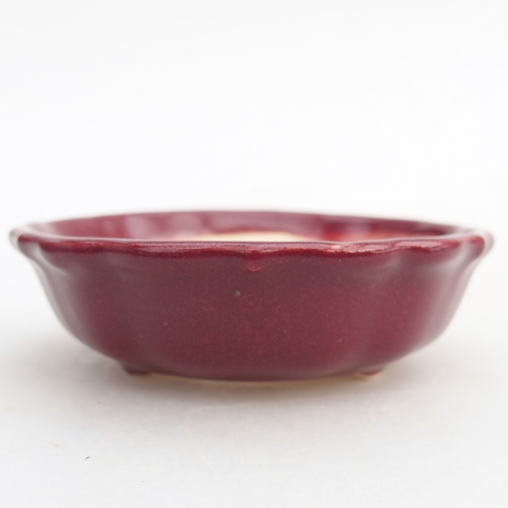 Mini bonsai tál 7,5 x 7,5 x 2,5 cm, bordó színű