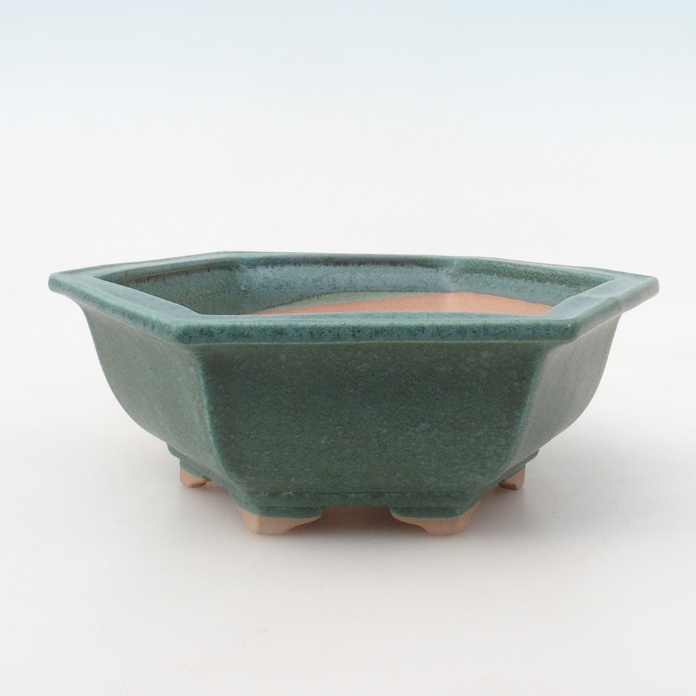 Bonsai tál + csészealj H53 - 19 x 21,5 x 7 cm. - zöld