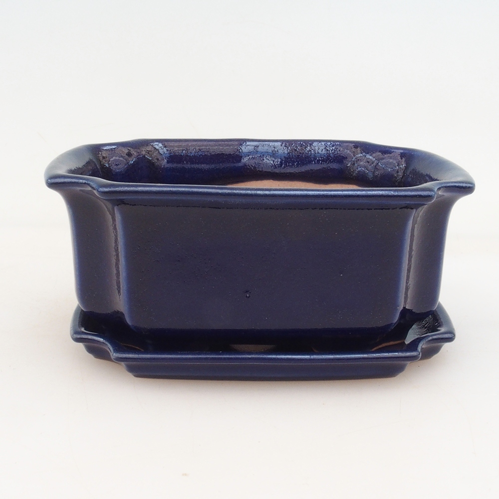 Bonsai tál + csészealj H01 - kék