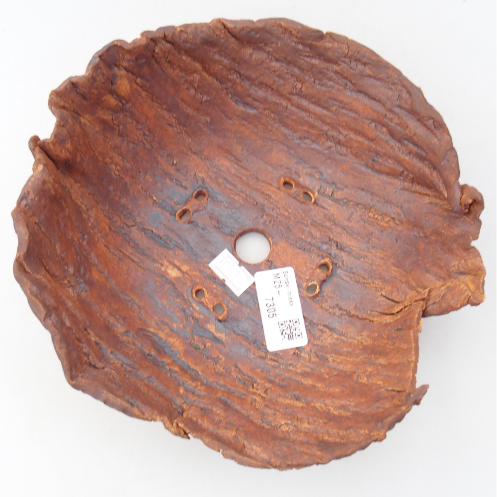 Kerámia kagyló 20 x 20 x 8 cm , barna színű