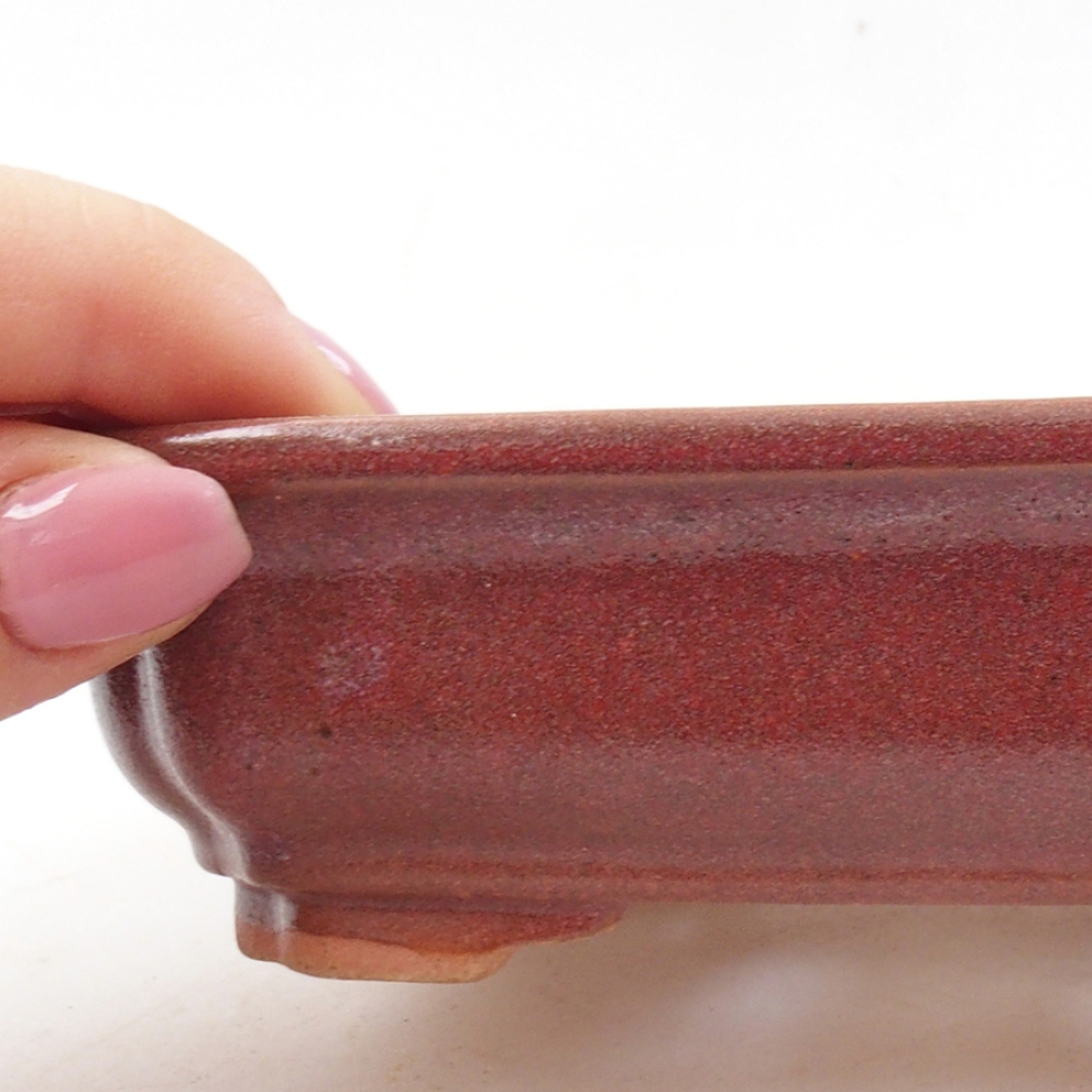 kerámia bonsai tál 14 x 11 x 4 cm, bordó színű