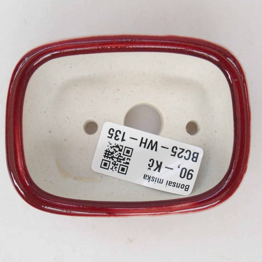 Mini bonsai tál 8 x 6 x 3 cm, piros színben