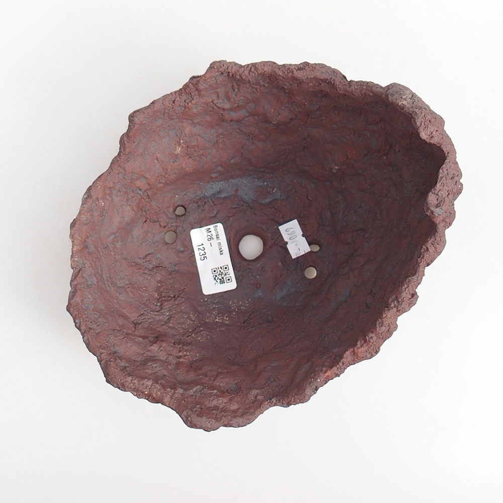 Kerámia kagyló 19 x 15 x 14 cm , barna színű