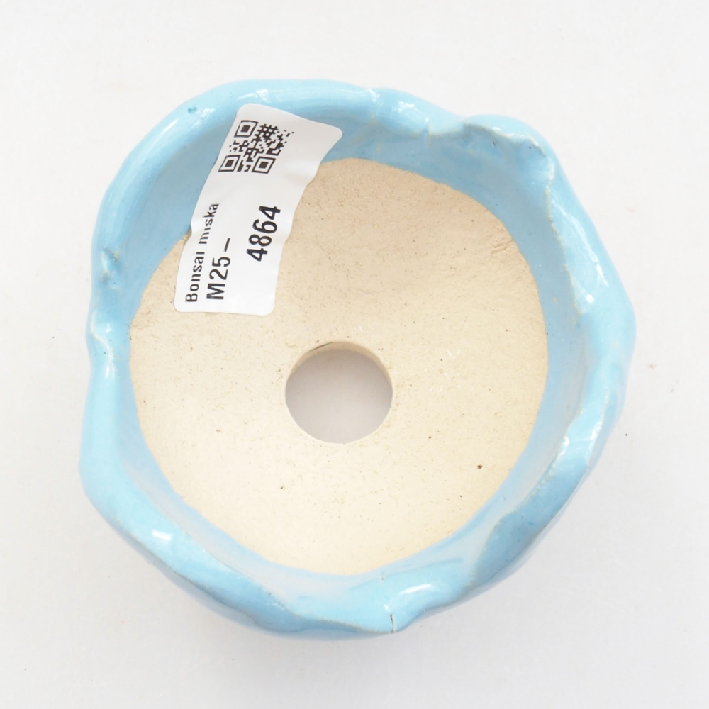 Kerámia kagyló 7 x 7 x 6 cm , kék színű