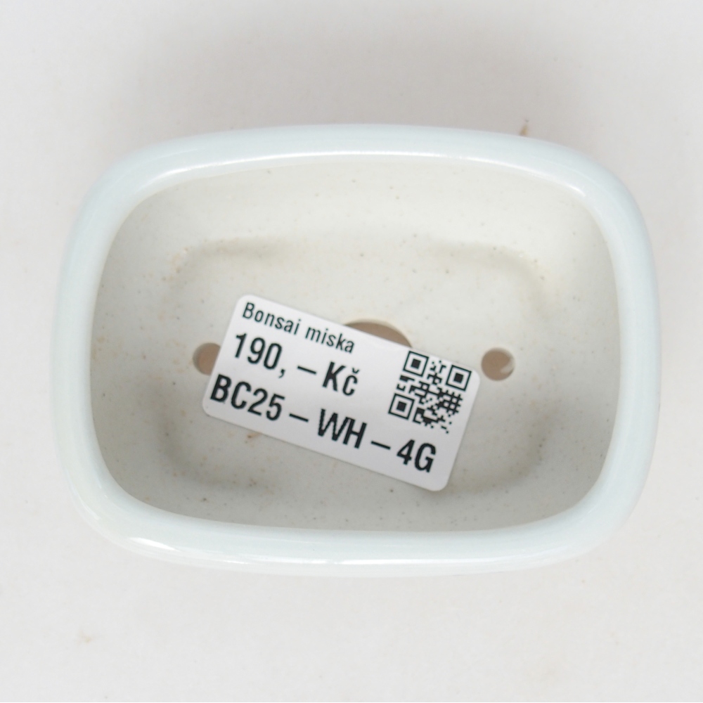 Mini bonsai tál 8 x 6 x 3 cm, fehér
