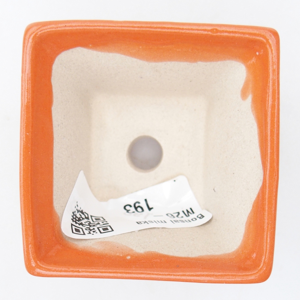 Mini bonsai tál 5,5 x 5,5 x 3 cm, narancssárga