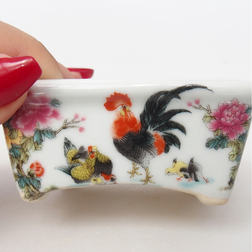 Mini bonsai tál 8 x 6,5 x 3,5 cm, fehér