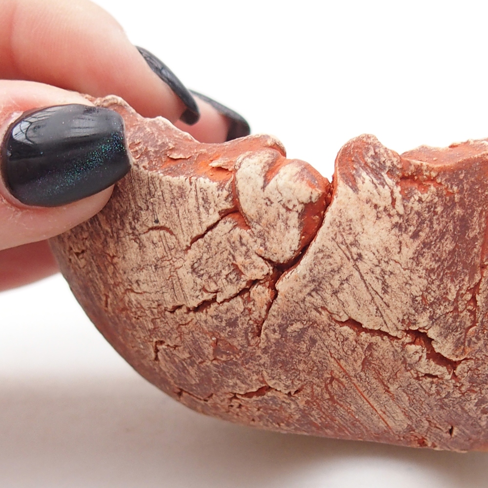 Kerámia kagyló 9,5 x 9 x 4 cm , narancssárga színű