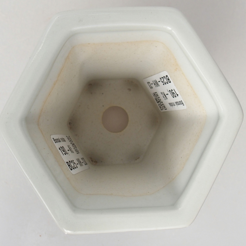 kerámia bonsai tál 10 x 9 x 9 cm, fehér színben