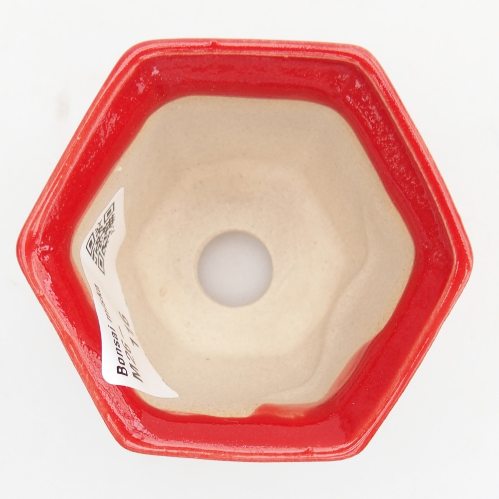 Mini bonsai tál 7 x 6,5 x 5 cm, piros színben