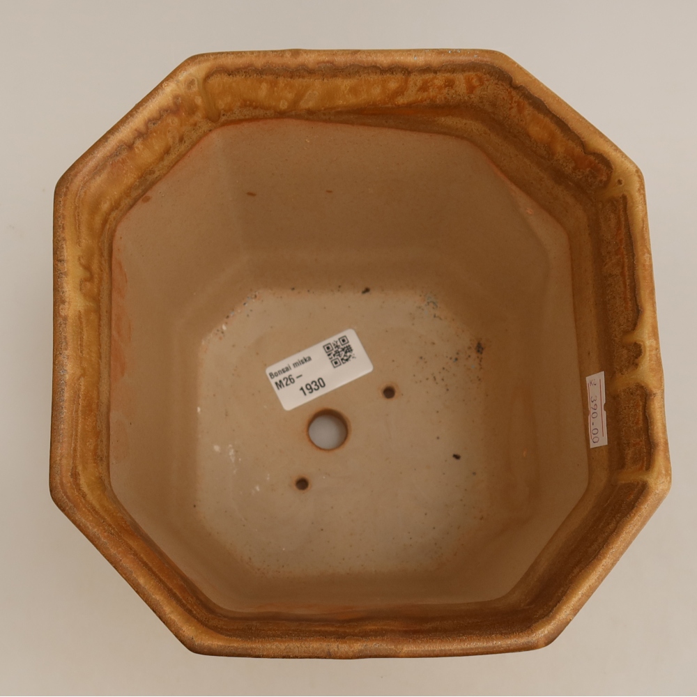 Kerámia bonsai-tál, 17,5 x 17,5 x 15,5 cm, bézs színű