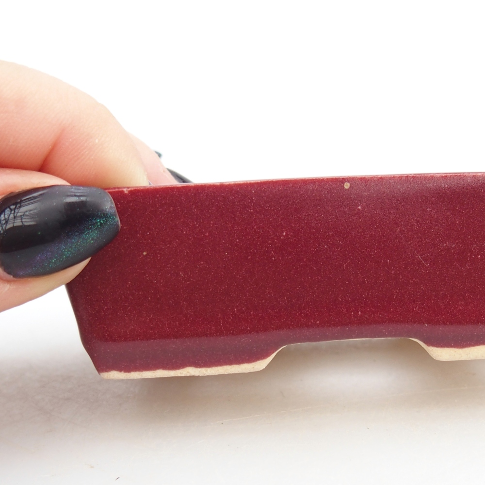 Mini bonsai tál 8 x 6 x 2,5 cm, bordó színű