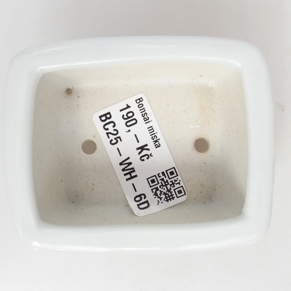 Mini bonsai tál 8 x 6,5 x 3,5 cm, fehér