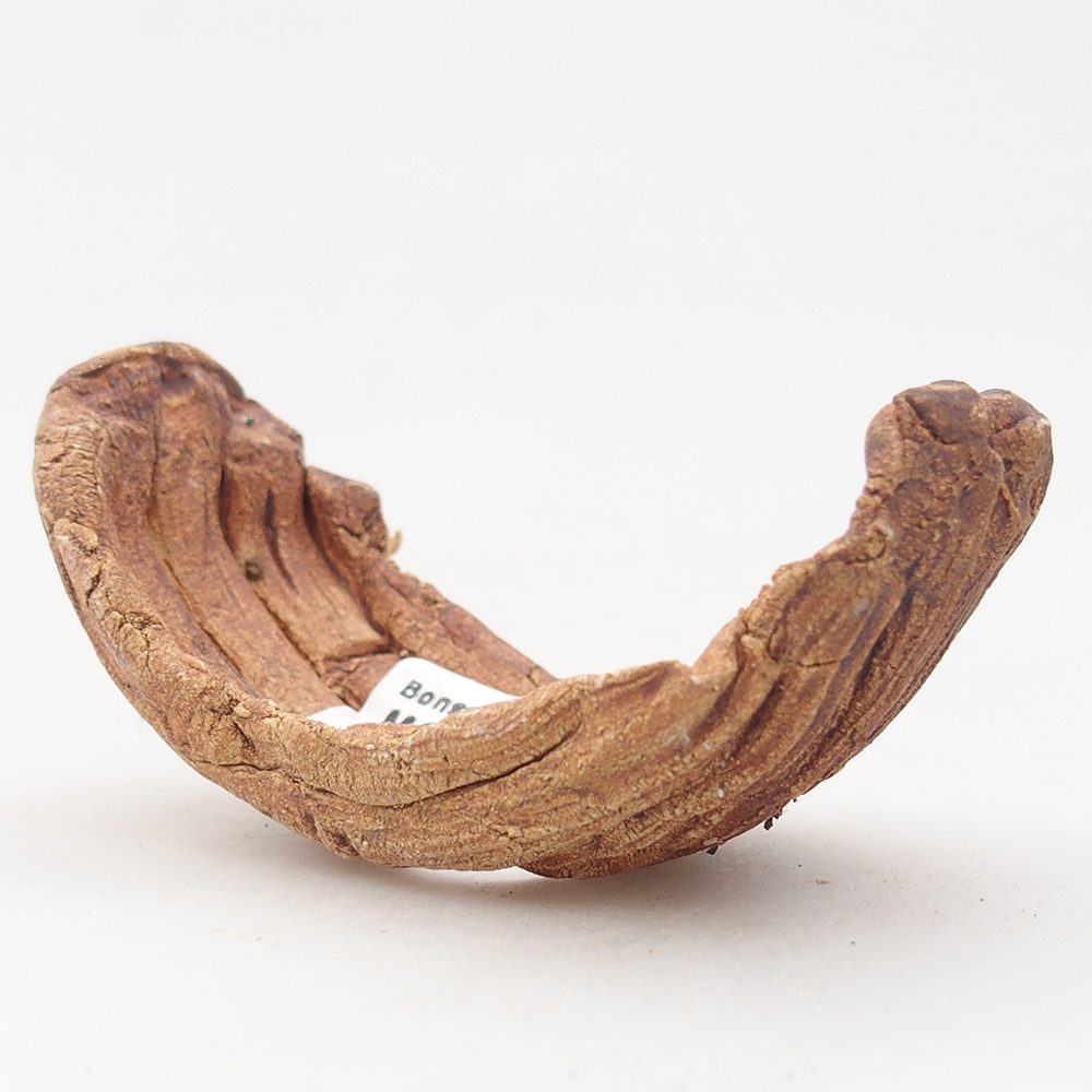 Kerámia kagyló 9 x 4,5 x 4,5 cm , színe barna