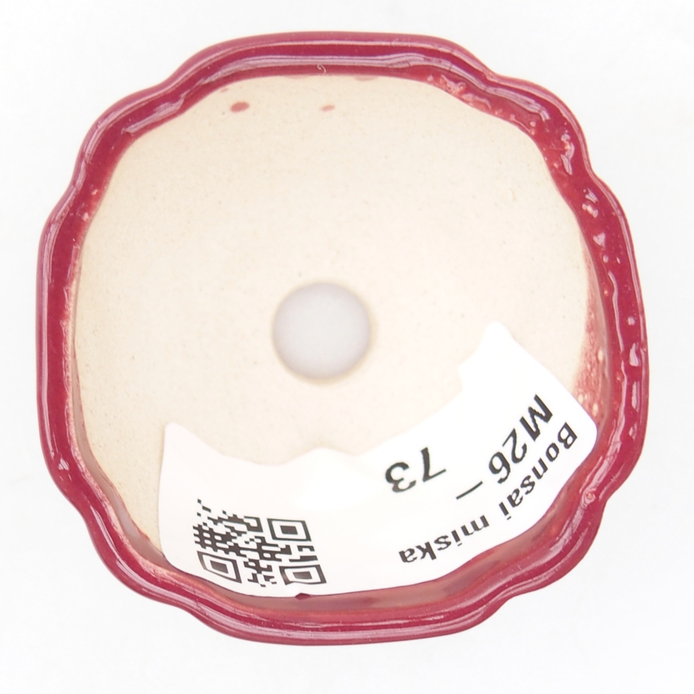 Mini bonsai tál 4,5 x 4,5 x 2,5 cm, bordó színben