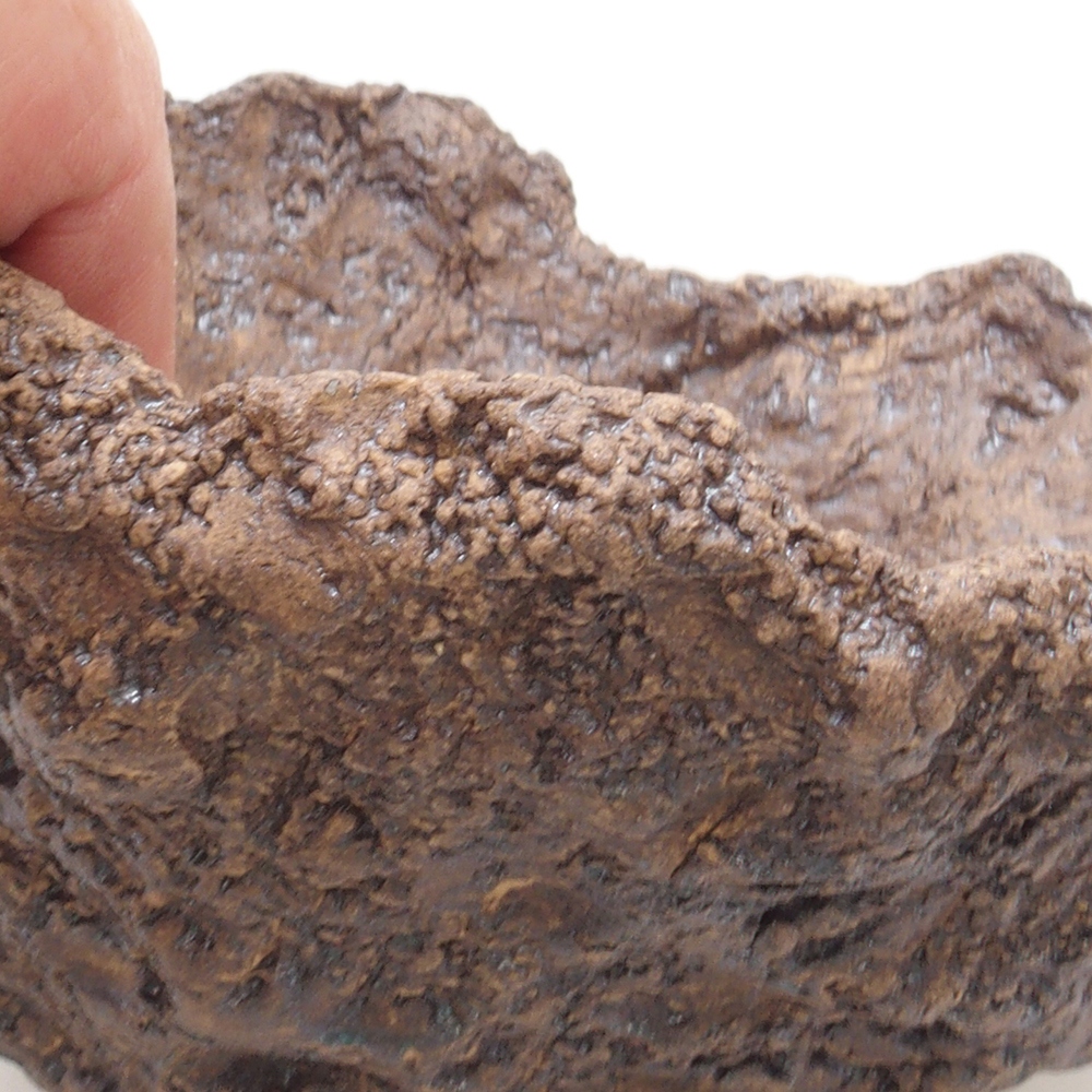 Kerámia kagyló 13 x 11 x 12 cm , színe barna