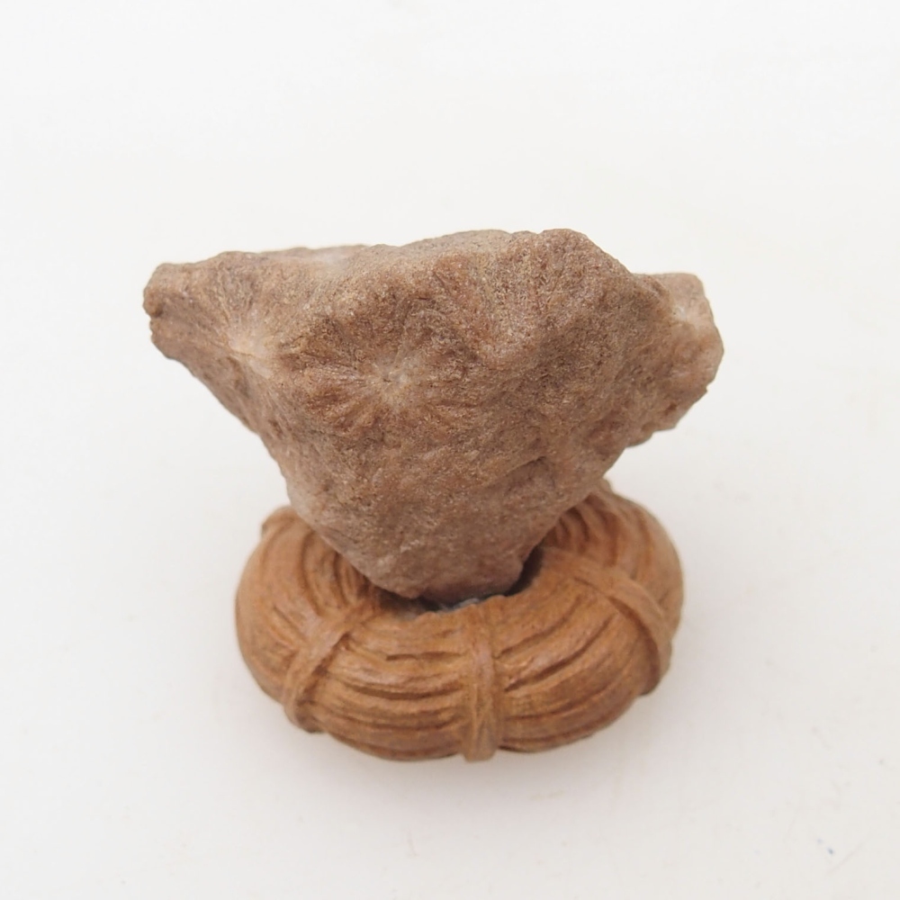 Suiseki - Kő DAI-val (fa alapon)