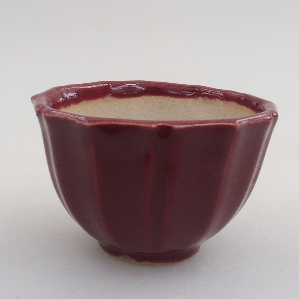 Mini bonsai tál 5 x 5 x 3 cm, bordó színű