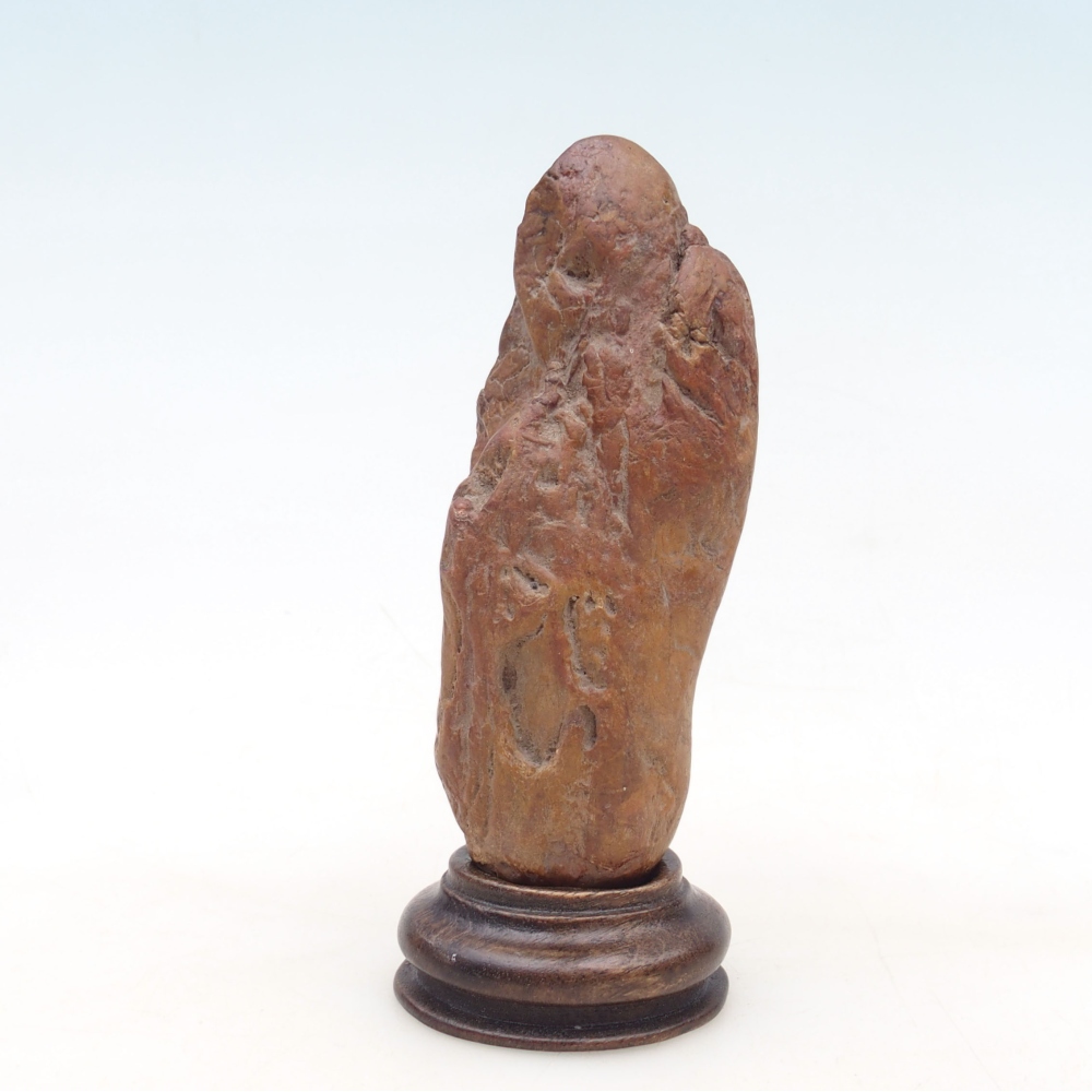 Suiseki - Kő DAI-val (fa alapon)