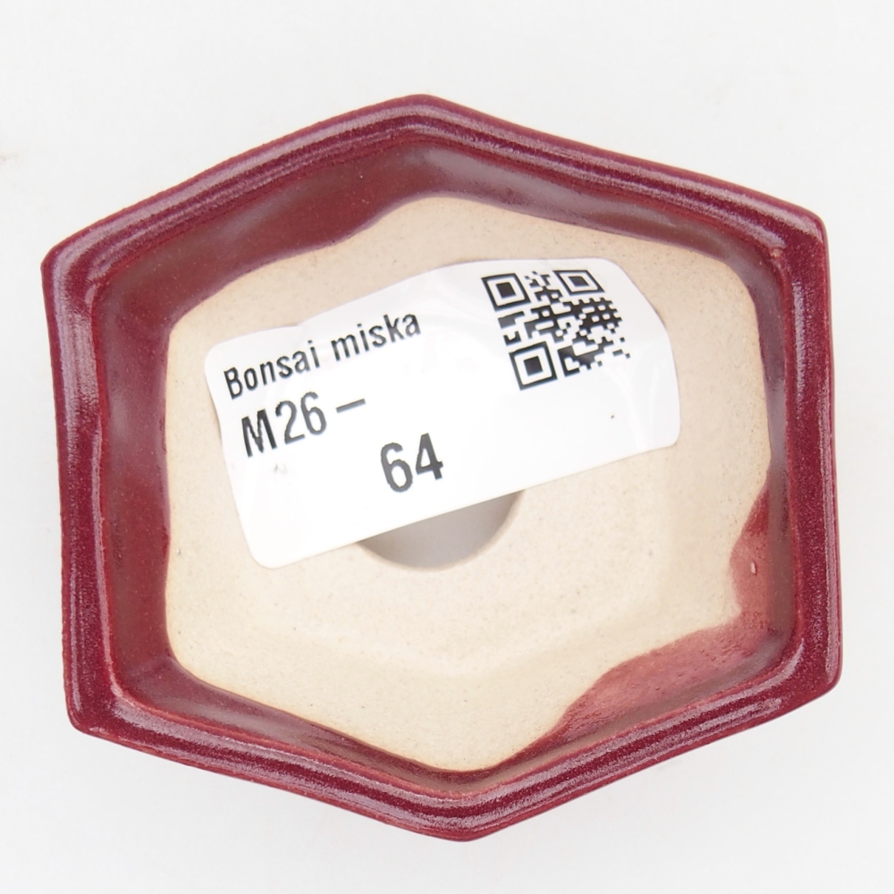 Mini bonsai tál 6 x 5,5 x 2,5 cm, bordó színű