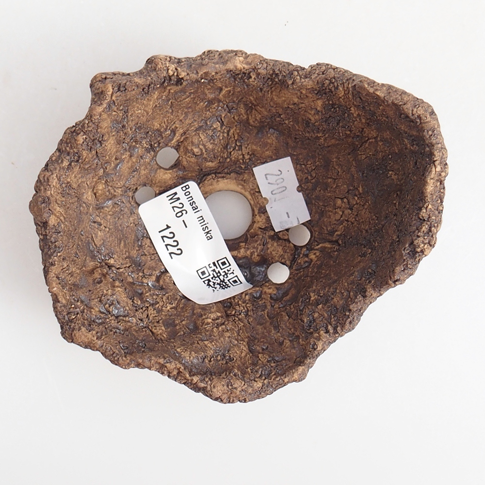 Kerámia kagyló 9 x 8 x 7 cm , színe barna