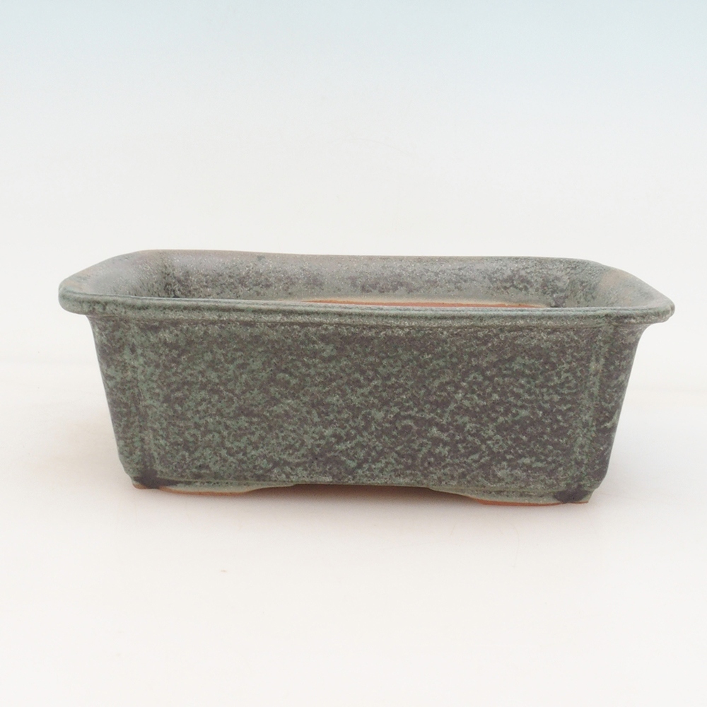 Bonsai tál H50 - 17 x 12,5 x 5,5 cm. - zöld