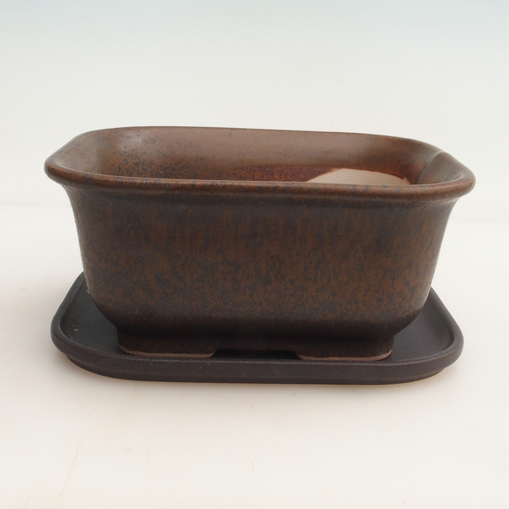 Bonsai tál + csészealj H36 - 17 x 15 x 7,5 cm. - barna