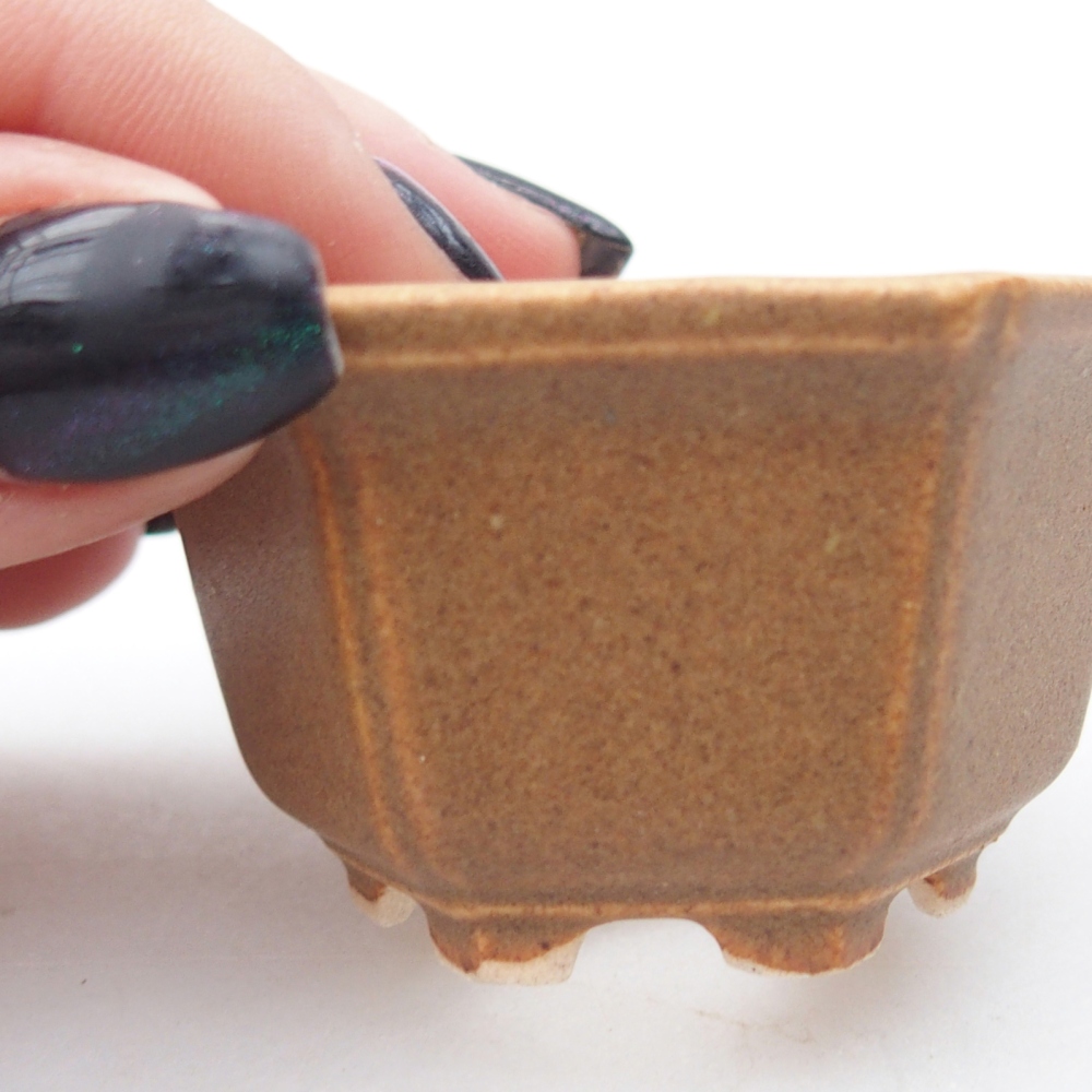 Mini bonsai tál 5,5 x 5 x 3 cm, barna