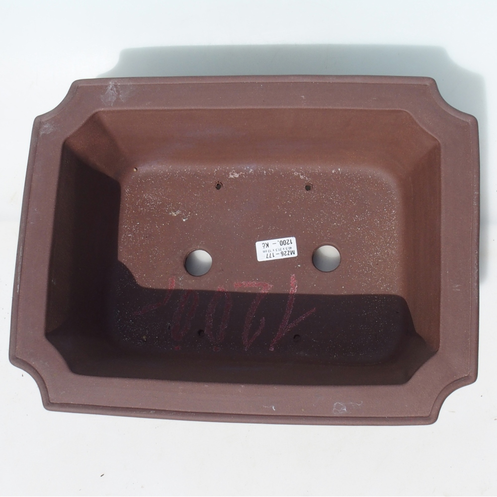 Bonsai tál 40,5 x 31,5 x 13 cm nyírfa barna