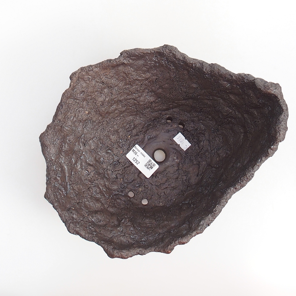 Kerámia kagyló 19 x 15 x 14 cm , barna színű