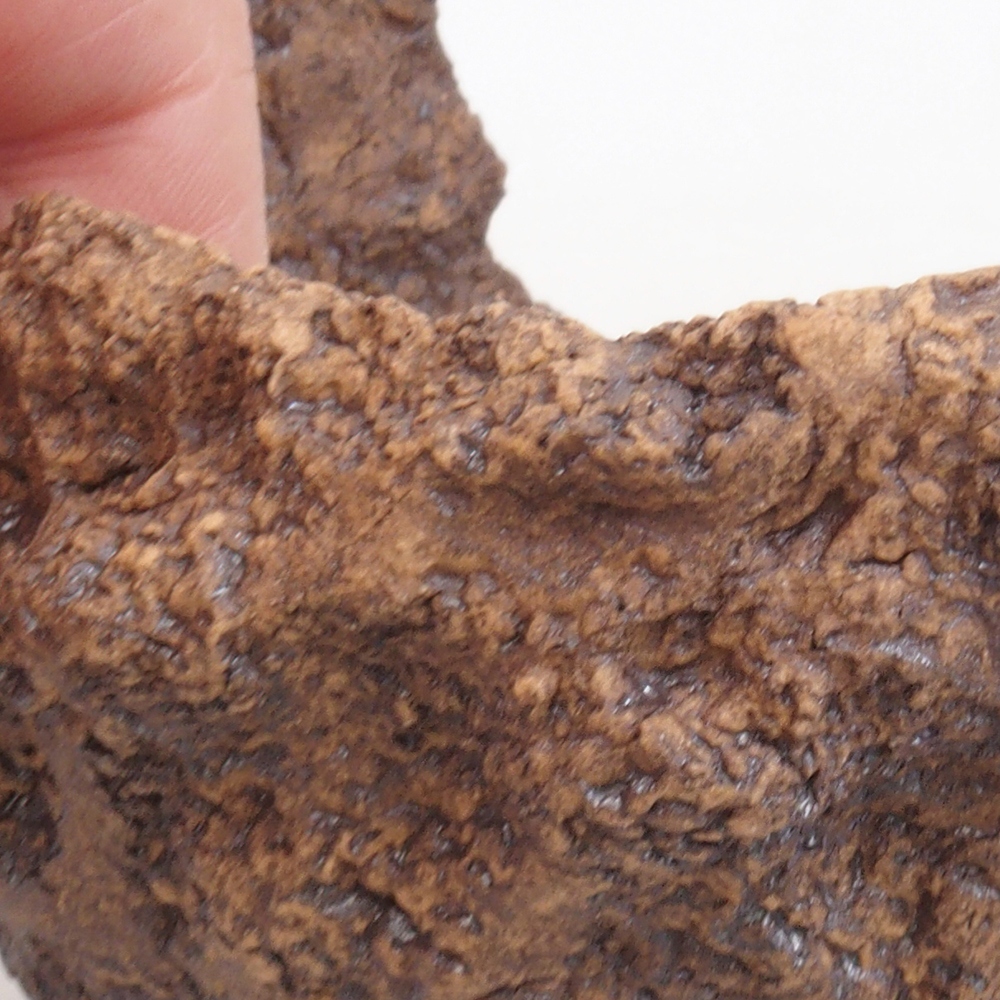 Kerámia kagyló 10 x 8 x 10 cm , barna színű