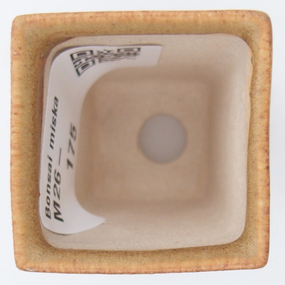 Mini bonsai tál 3,5 x 3,5 x 5 cm, barna