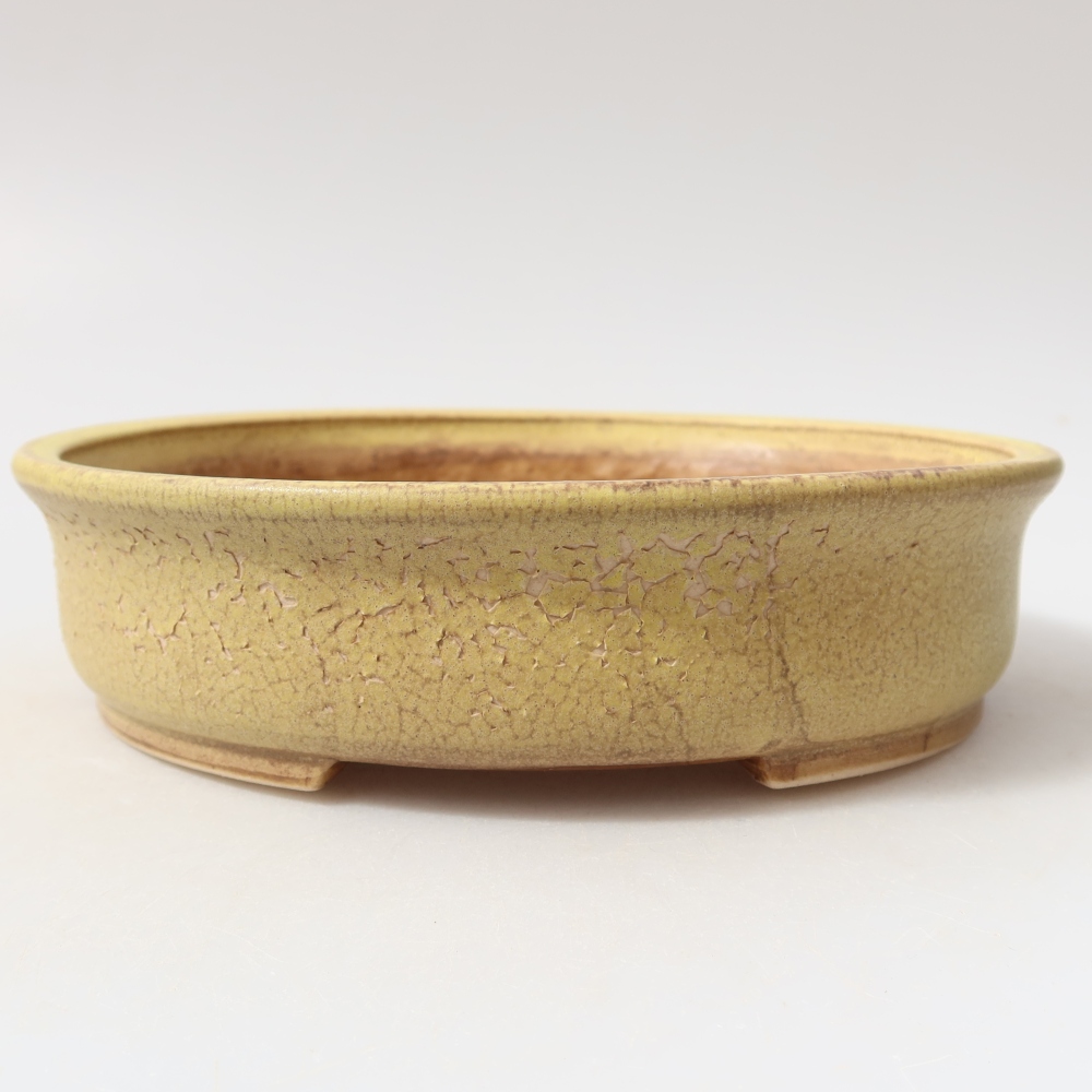 Kerámia bonsai-tál, 18 x 16,5 x 4,5 cm, sárga színű