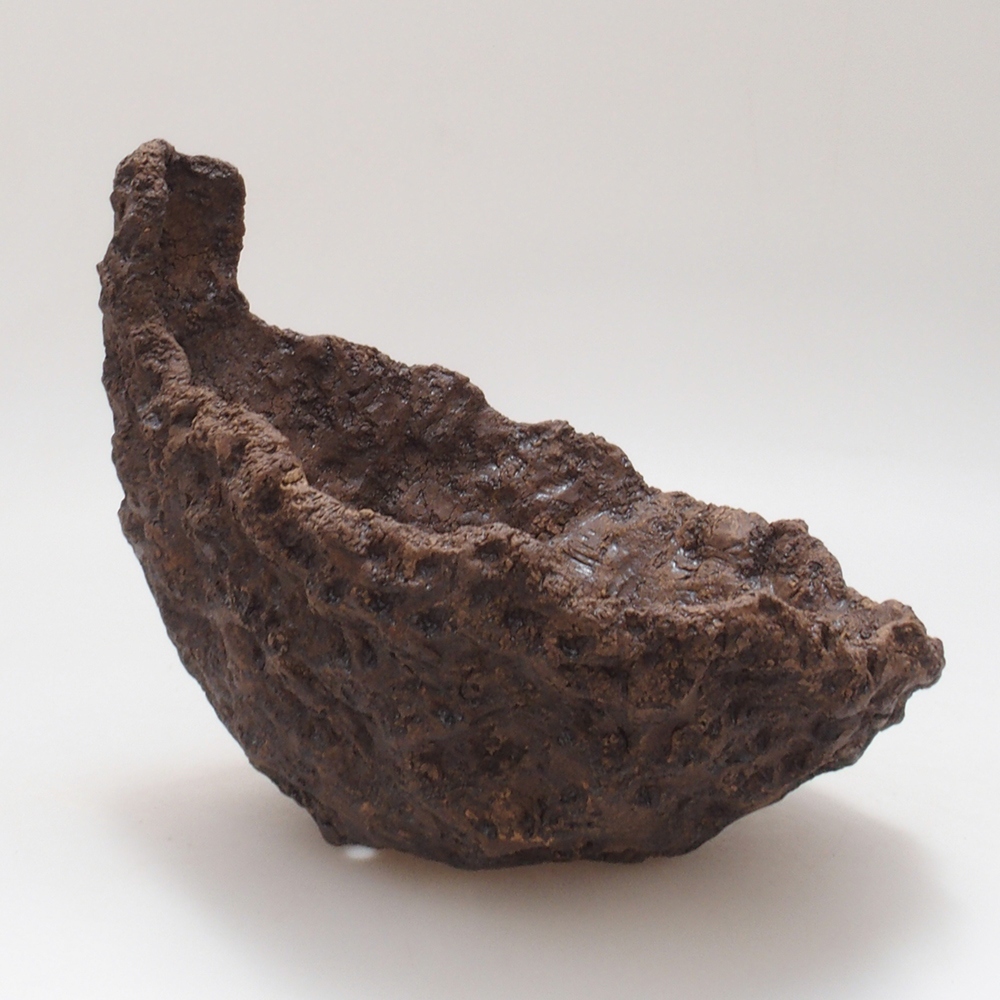 Kerámia kagyló 17,5 x 16 x 17,5 cm , színe barna