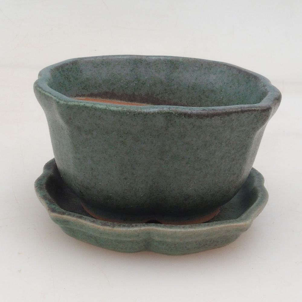 Bonsai tál + csészealj H95 - zöld
