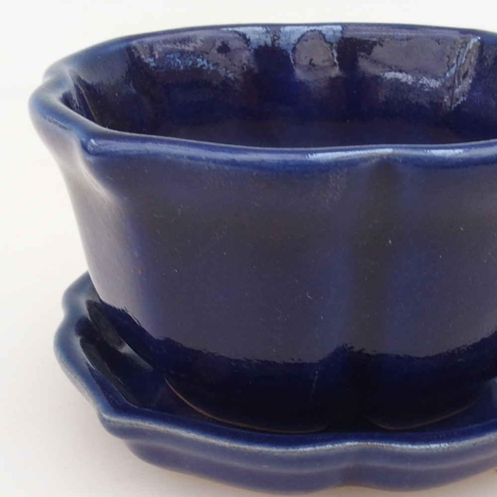 Bonsai tál + csészealj H95 - kék