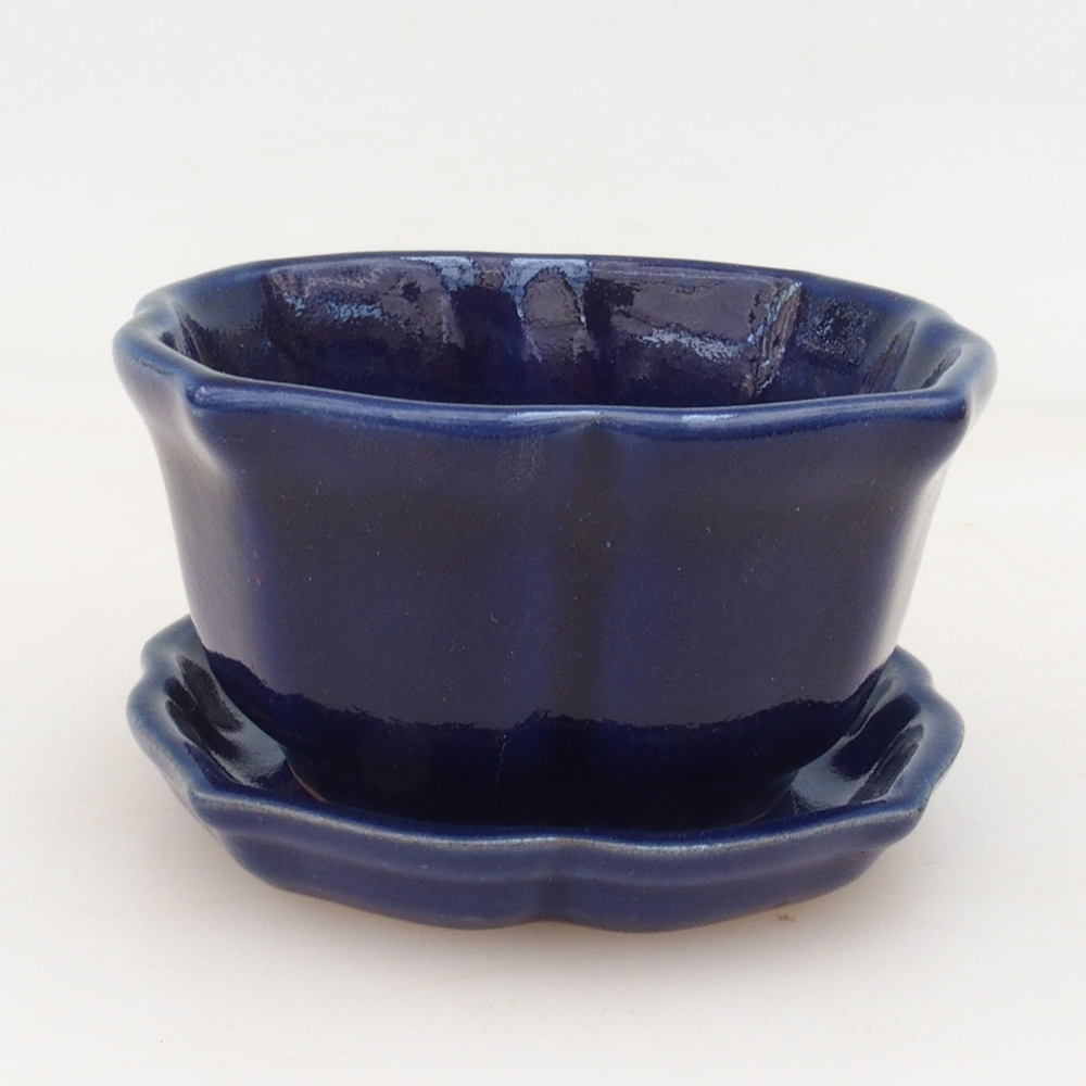 Bonsai tál + csészealj H95 - 7,5x7,5x4 cm